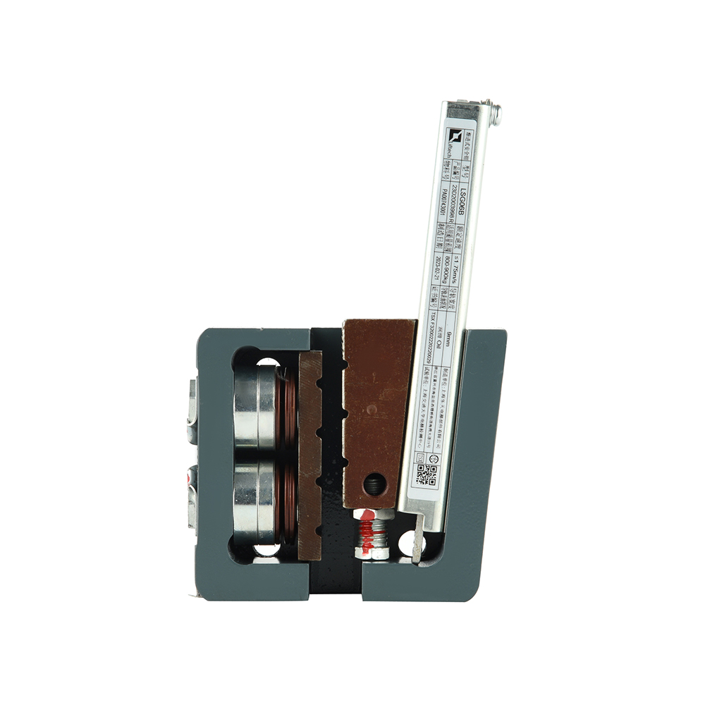 LSG06B Sicherheitsverriegelung für Aufzugssicherheitsgetriebe